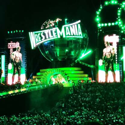 Triple_H_makes_his_entrance_at_WrestleMania_33